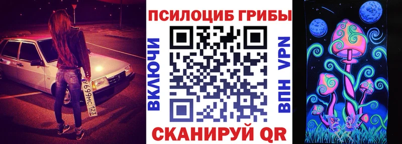 купить наркотики цена Северо-Курильск МЕГА ССЫЛКА Псилоцибиновые грибы GOLDEN TEACHER